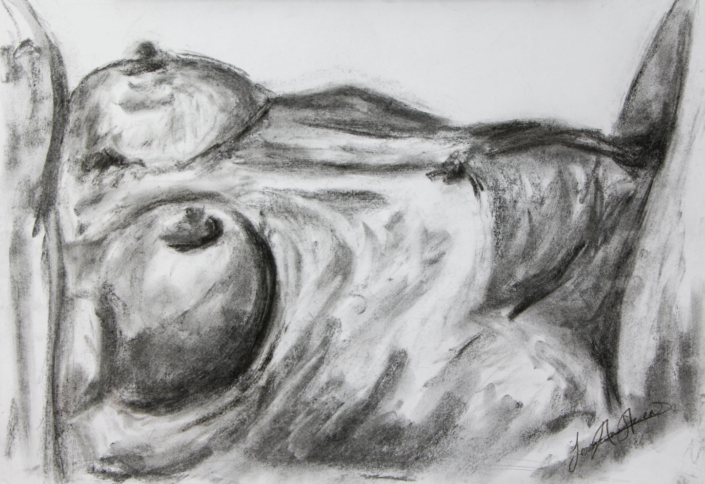 Life Study 01 - Original Charcoal Drawing